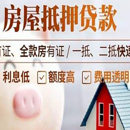 麻栗坡贷款助贷公司新渝启服成立时间久