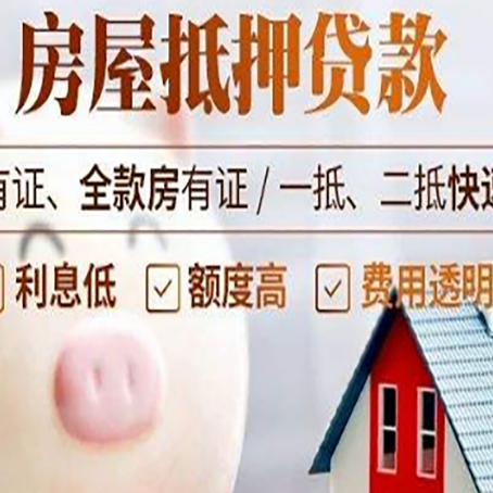 麻栗坡贷款中介公司新渝启服实力公司